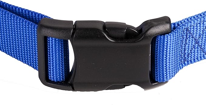 GOGO Pet Products Comfy Nylon 1-Inch Adjustable Pet Collar, Large, Blue