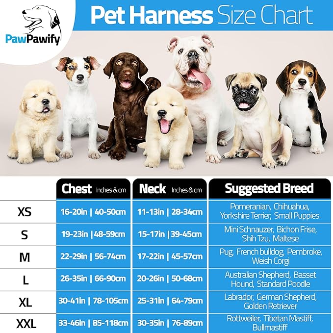 Personalized No Pull Dog Harness with Custom Name and Phone Number by PawPawify, Heavy Duty Pet Vest to Prevent Tugging, Pulling, or Choking, Training and Walking XXL Chest 33-46in Color Doodle