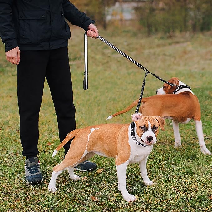 Kruz Double Dog Leash for Two Dogs (Width - 1”, Length 20”-42”) Dual Leash Coupler with Tangle-Free Swivel, Shock-Absorbing Reflective Bungee for Comfortable Walking & Training (Blue, Large)