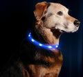 LED Dog Necklace Collar - USB Rechargeable Loop - Available in 6 Colors - Makes Your Dog Visible, Safe & Seen