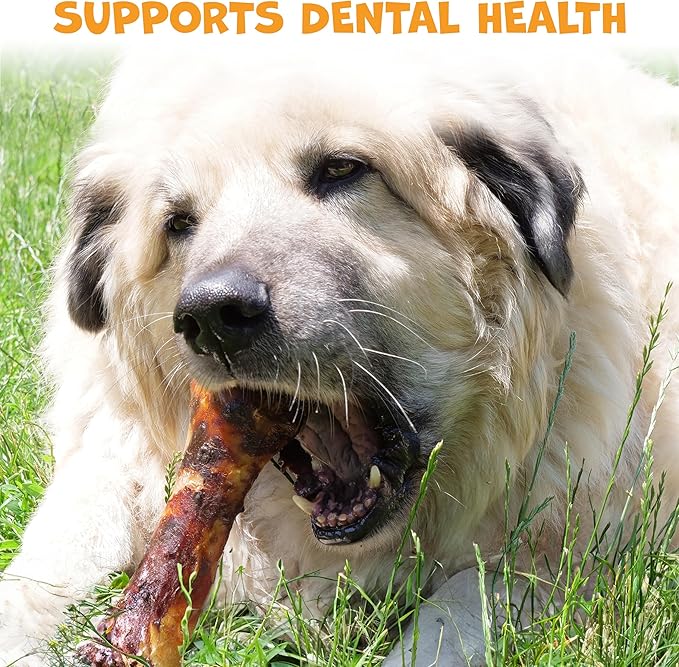 Beef Shin Bones for Dogs - Liver Coated Long Lasting Dog Chews for Aggressive Chewers - Rawhide-Free Big Bones for Large Dogs - Healthy Large Dog Bone (1 Pack)