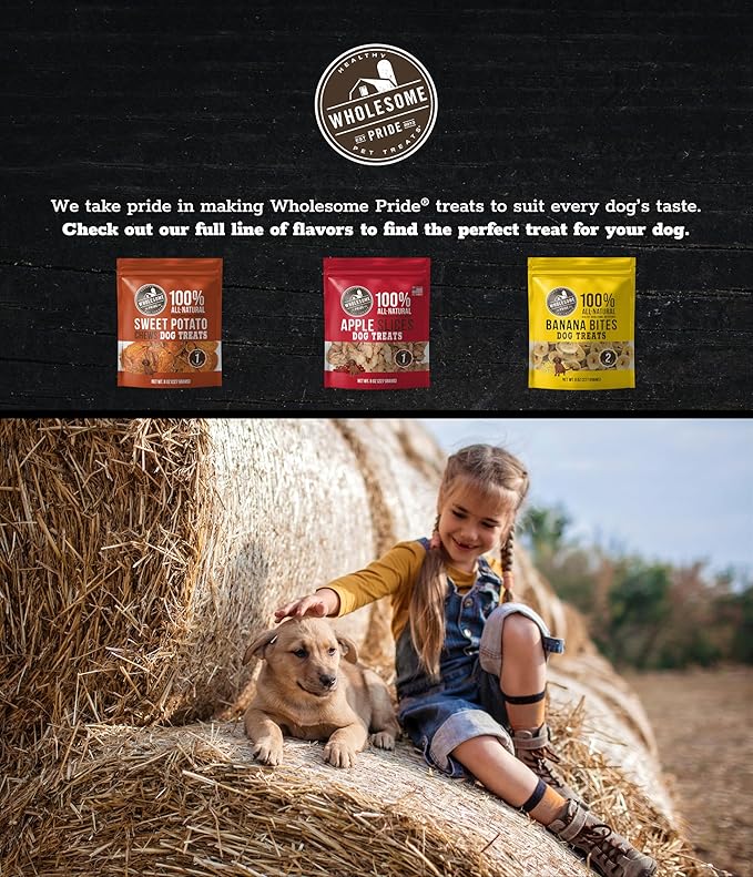Wholesome Pride, 100% All-Natural Single Ingredient, Soft, USA-Sourced Dog Treats, Sweet Potato Fries 8oz