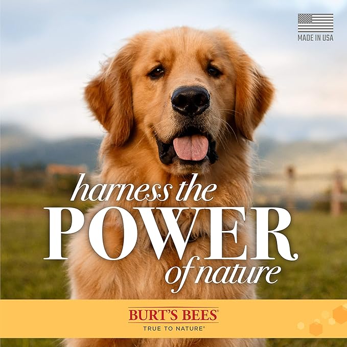 Burt's Bees for Pets Multipurpose Dog Wipes with with Honey, 98% Natural Origin Formulas, Hypoallergenic Dog Wipes Cleaning, Dog Cleaning Wipes, Dog Wipes for Paws and Butt, 50ct