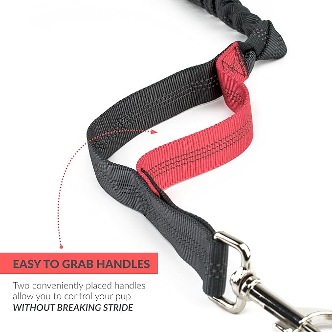 Tuff Mutt Hands-Free Waist Leash for Dog Walking, Running and Hiking, Adjustable Belt with Double Handle, Reflective Bungee Design for Large & Medium Dogs