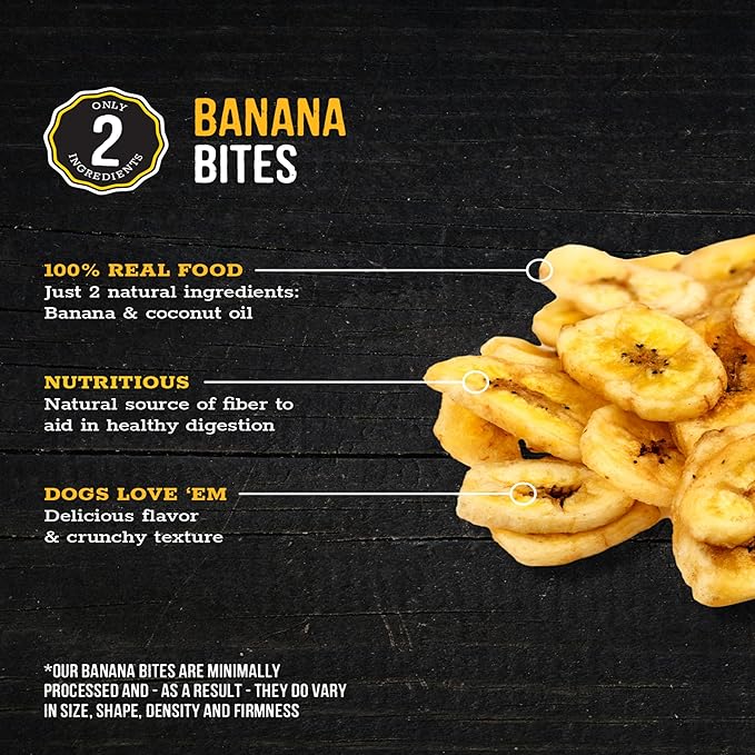 Wholesome Pride Banana Bites Dog Treats – 2-Ingredient Banana Chips for Dogs, Grain-Free, Banana & Coconut Oil, 16 oz