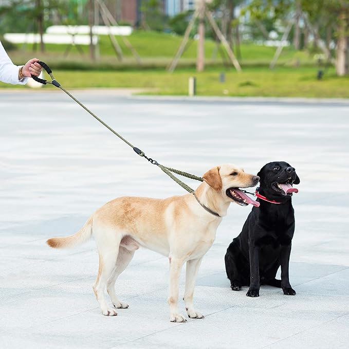 iYoShop Dual Dog Leash - 360° Swivel, No Tangle Walking Leash with Shock Absorbing Bungee for Two Dogs (Large, 25-150 lbs, Military Green)