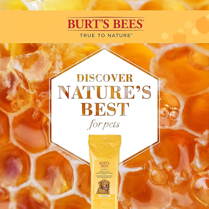 Burt's Bees for Pets Multipurpose Dog Wipes with with Honey, 98% Natural Origin Formulas, Hypoallergenic Dog Wipes Cleaning, Dog Cleaning Wipes, Dog Wipes for Paws and Butt, 50ct