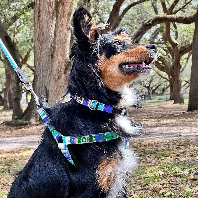 Pawtitas Personalized Dog & Puppy Harness Small Grey/Blue/Green Custom ID Tag Adjustable No Pull Vest