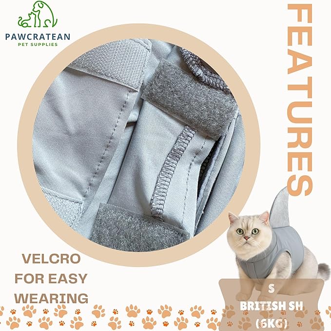Pet Custom Dog Custom Cat Custom Hoodie, Sporty Look, Funny Gift, Halloween Holiday (Shark with Standing Fin, Large)