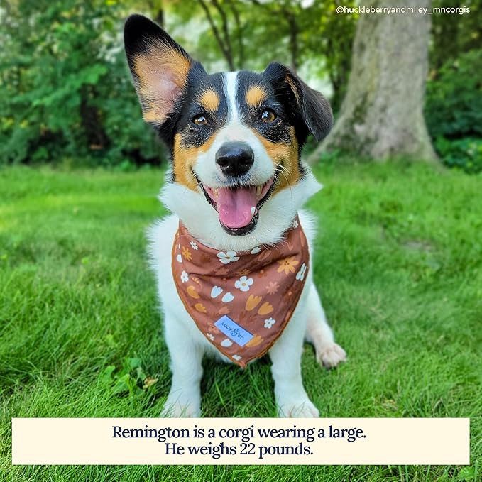 Lucy & Co. Chocolate Meadows Bandana - Designer Puppy Accessory. 100% Polyester. Soft, Stylish and Appropriate for Any Occasion. Machine Washable (Small, Brown & White Floral)
