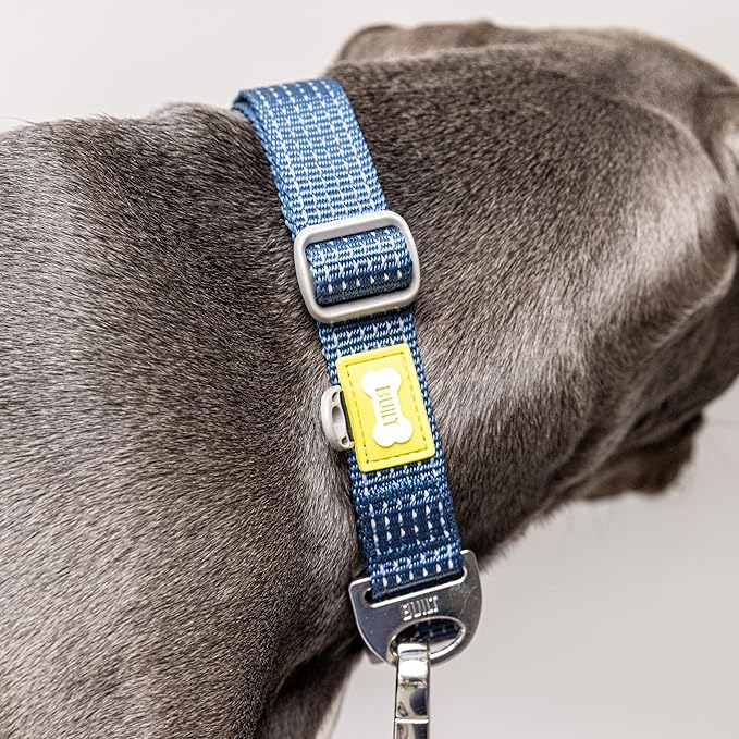 BUILT PET NightSafe Reflective Adjustable Dog Collar, Helps You See Animals in The Dark, High Visibility Evening & Winter Dog Walking Safety Collar with Light Reflecting Trim, Large, 46 – 66cm, Blue