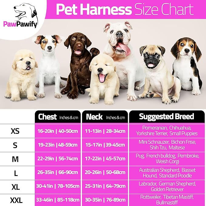 Personalized No Pull Dog Harness with Custom Name and Phone Number by PawPawify, Heavy Duty Pet Vest to Prevent Tugging, Pulling, or Choking, Training and Walking