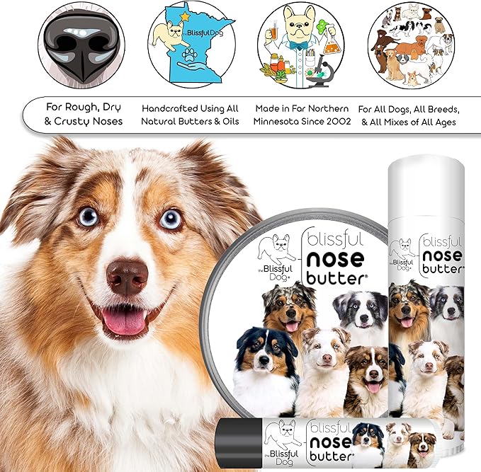 The Blissful Dog Australian Shepherd Nose Butter for Dry, Cracked Skin, Lick-Safe Dog Nose Balm with Moisturizing Shea Butter, Almond, Olive, and Essential Oils, Pet Supplies, Uncented, 4 oz.