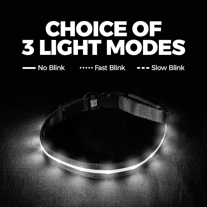 Blazin Light Up Dog Collar - The Original LED Dog Collar - USB Rechargeable - Waterproof - 1,000 Feet of Visibility - Dog Collar Light for Small, Medium, Large Dogs - USA Brand