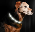 LED Dog Necklace Collar - USB Rechargeable Loop - Available in 6 Colors - Makes Your Dog Visible, Safe & Seen