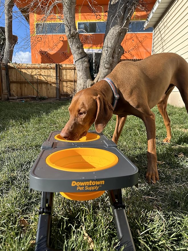 Downtown Pet Supply Raised Dog Bowl - Portable Feeder for Travel - Collapsible Silicone Design - 5 Cups Capacity - Lightweight Pet Feeder - Ideal for Small, Medium & Large Dogs - Dog Feeding Station