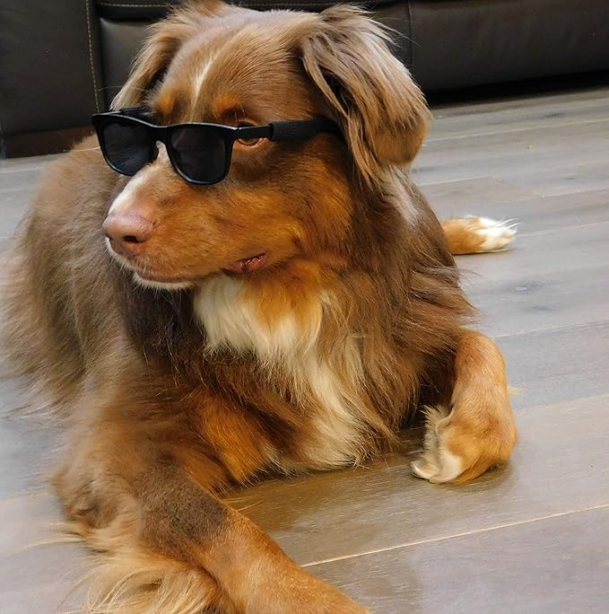 G006 Dog Medium Breeds 20-40 lbs Pet Cat 80s Costume Prop Sunglasses (Black)