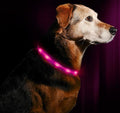 LED Dog Necklace Collar - USB Rechargeable Loop - Available in 6 Colors - Makes Your Dog Visible, Safe & Seen
