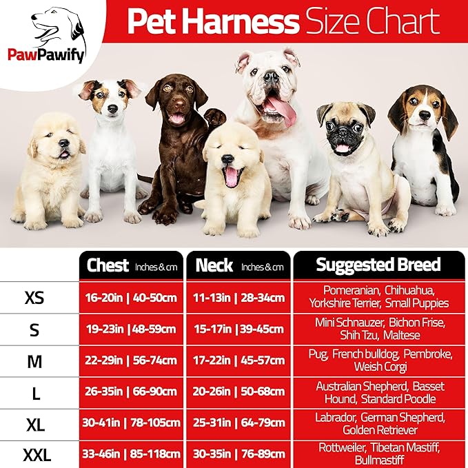 Personalized No Pull Dog Harness with Custom Name and Phone Number by PawPawify, Heavy Duty Pet Vest to Prevent Tugging, Pulling, or Choking, Training and Walking Red