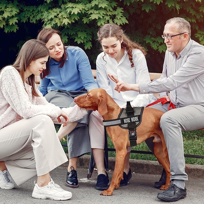 Dogline Unimax Dog Harness Vest with Nose Work Patches Reflective No-Pull, Adjustable Straps, Breathable Neoprene for Medical, Service, Identification and Training Dogs Girth 15 to 19" Gray