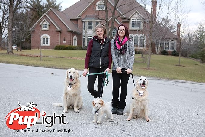 PupLight2 Twice as Bright with Reflective Dog Safety Collar, Black