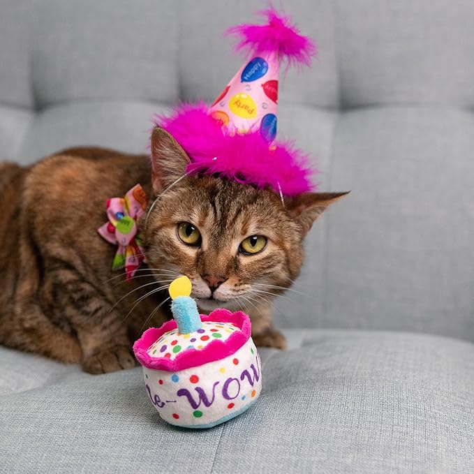 Huxley & Kent Pet Party Hat for Dogs & Cats - Fun Birthday Hat with SnugFit Adjustable Straps - Comfy Pet Costume Accessory for Parties, Gotcha Days & Celebrations - Pink, Large