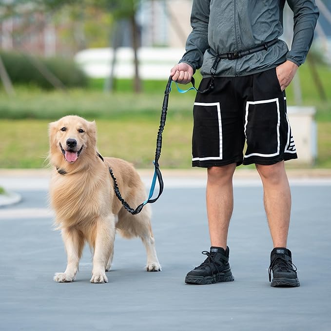iYoShop Hands Free Dog Leash with Zipper Pouch, Dual Padded Handles and Durable Bungee for Walking, Jogging and Running Your Dog (Medium, 8-25 lbs, Black)