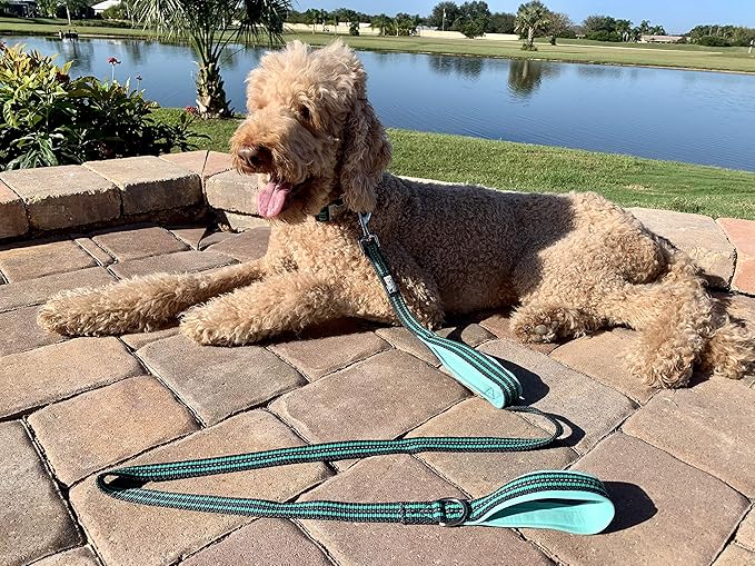 Black Rhino Heavy Duty Dog Leash for Medium and Large Dogs - 5 ft Long Double Handle Dog Leash with Padded Traffic Control Handles - Reflective, Durable, and Weather Resistant (Aqua and Gray)