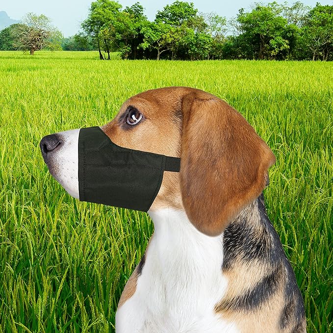 Four Paws Walk-About Quick-Fit Adjustable Dog Muzzle for Small Dogs, Washable & Breathable, Black, 1 Count
