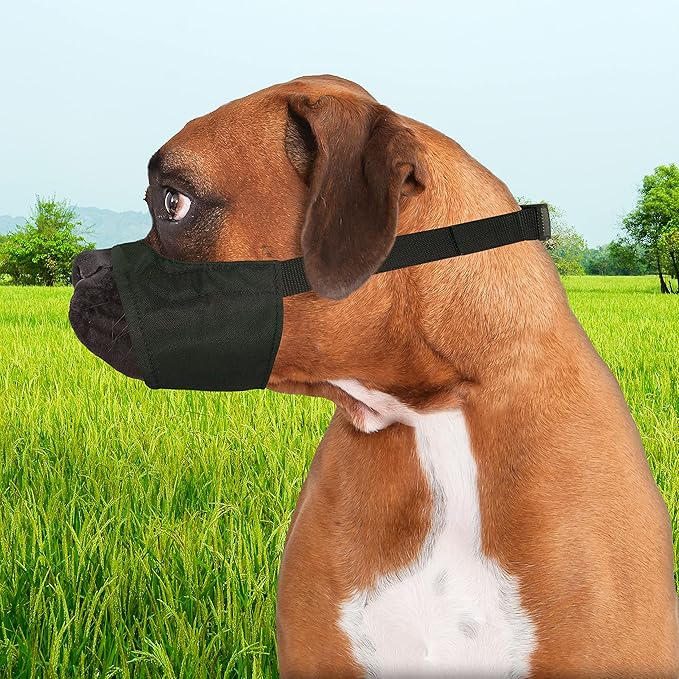 Four Paws Walk-About Quick-Fit Short Snout Adjustable Dog Muzzle for Medium Dogs, Washable & Breathable, Black, 1 Count