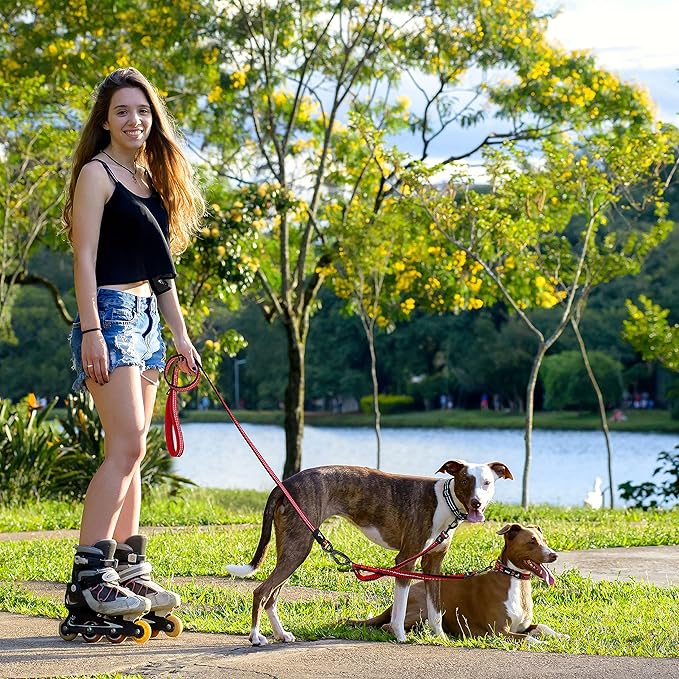 Kruz Double Dog Leash for Two Dogs (Width - 5/8”, Length 14”-27”) Dual Leash Coupler with Tangle-Free Swivel, Shock-Absorbing Reflective Bungee for Comfortable Walking & Training (Blue, Small)