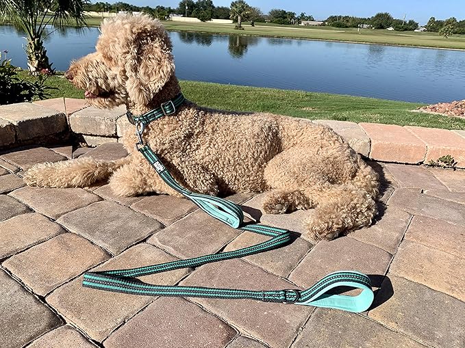 Black Rhino Heavy Duty Dog Leash for Medium and Large Dogs - 5 ft Long Double Handle Dog Leash with Padded Traffic Control Handles - Reflective, Durable, and Weather Resistant (Aqua and Gray)