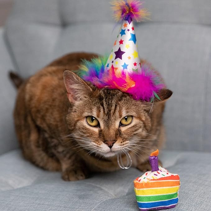 Huxley & Kent Pet Party Hat for Dogs & Cats - Fun Birthday Hat with SnugFit Adjustable Straps - Comfy Pet Costume Accessory for Parties, Gotcha Days & Celebrations - Superstar, Small